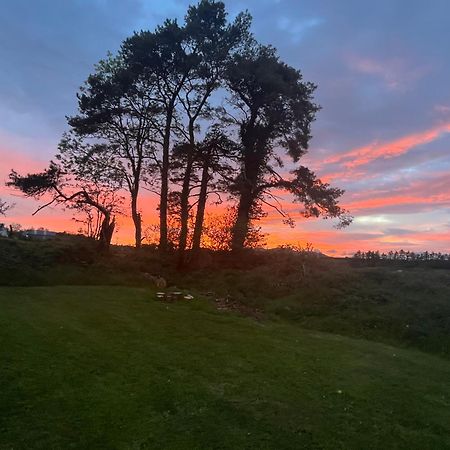 Daffodil Lodge Sligo Exteriér fotografie