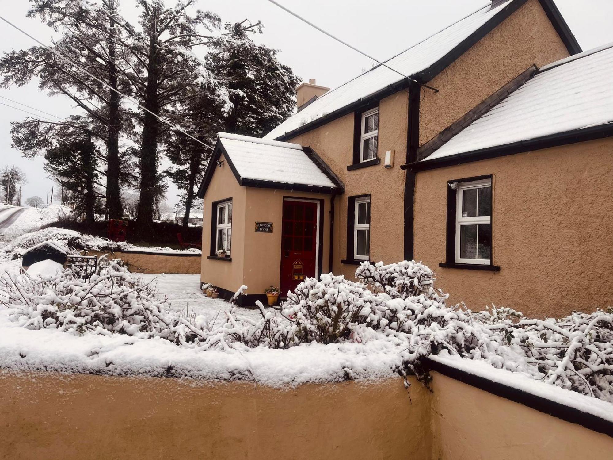 Daffodil Lodge Sligo Exteriér fotografie
