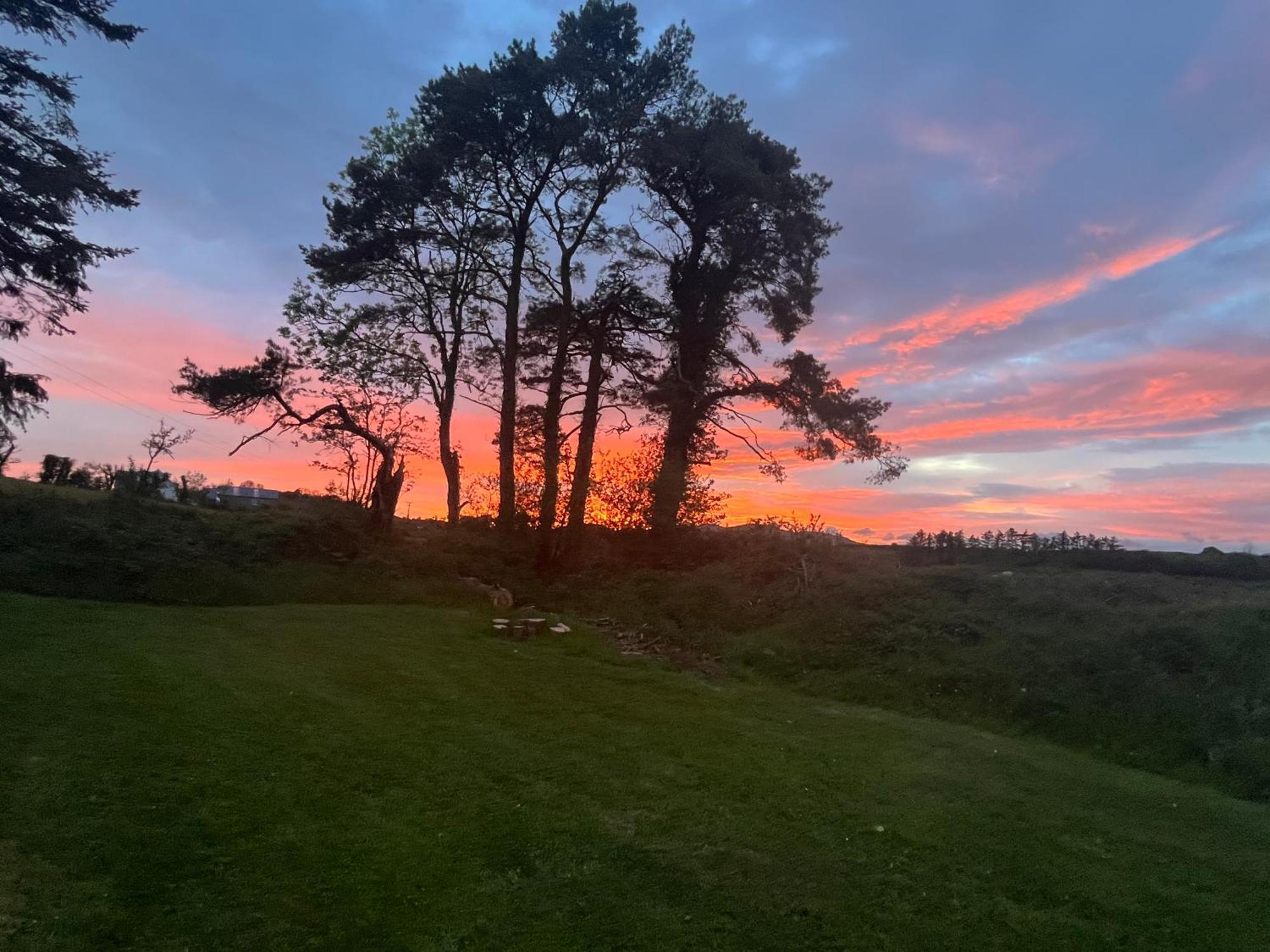 Daffodil Lodge Sligo Exteriér fotografie